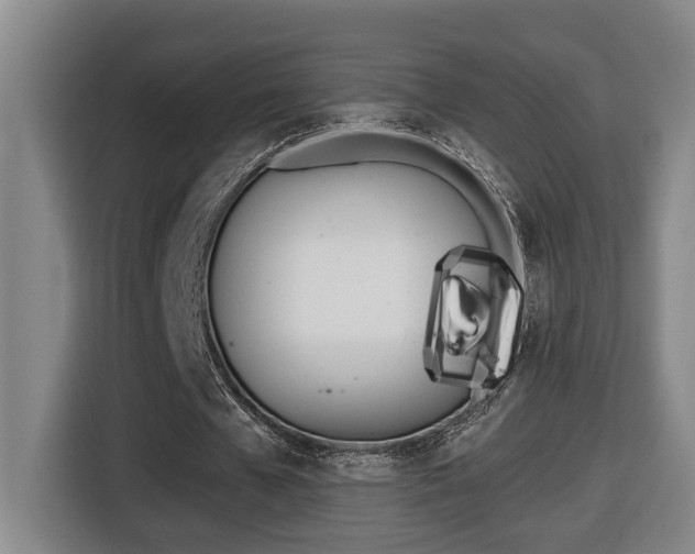 X0000116510577200912090949