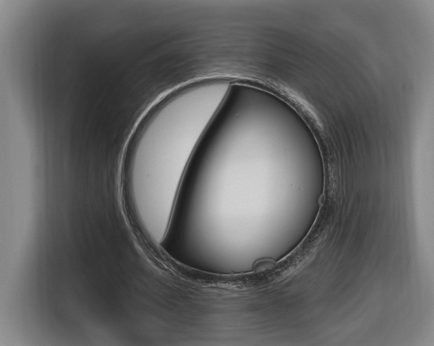 X0000116510580200912090949