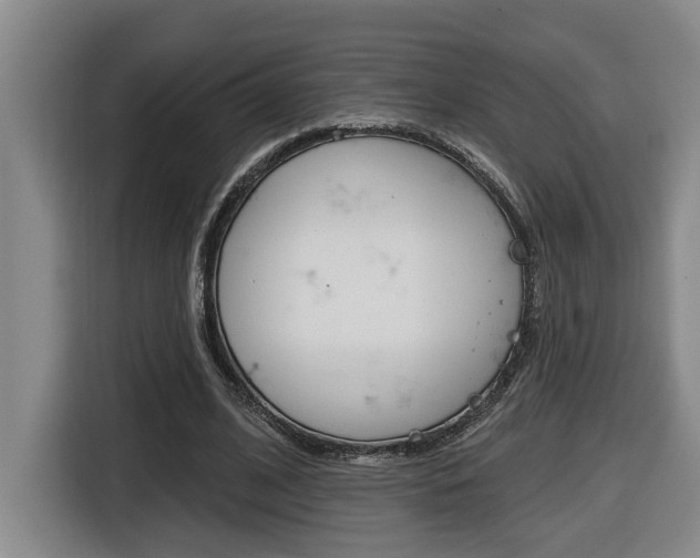 X0000116510584200912090949