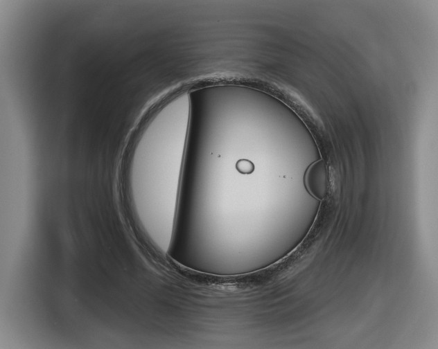 X0000116510588200912090949
