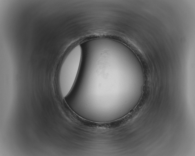 X0000116510592200912090949