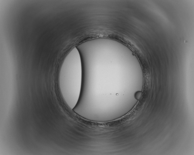 X0000116510594200912090949