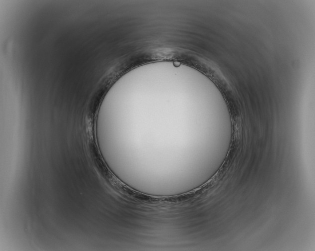 X0000116510598200912090949