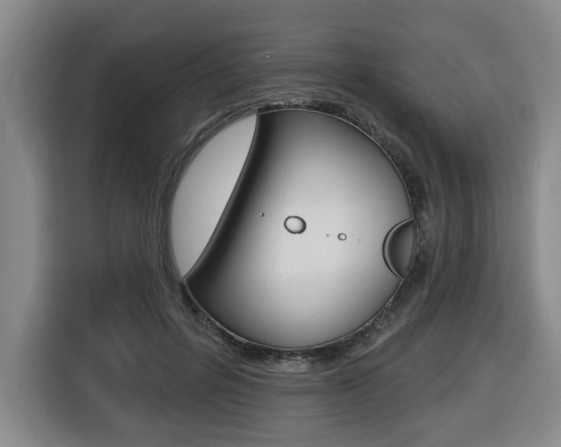 X0000116510600200912090949
