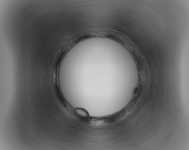 X0000116510602200912090949