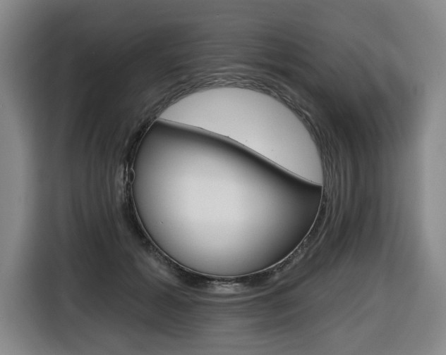 X0000116510605200912090949
