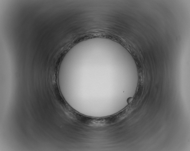 X0000116510606200912090949