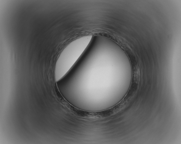 X0000116510608200912090948