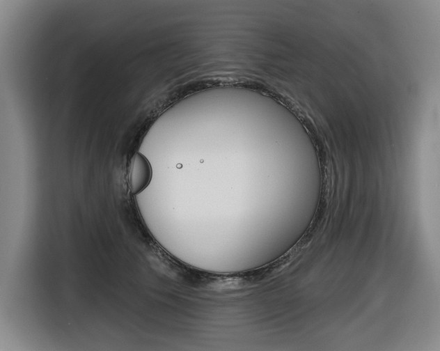 X0000116510609200912090948