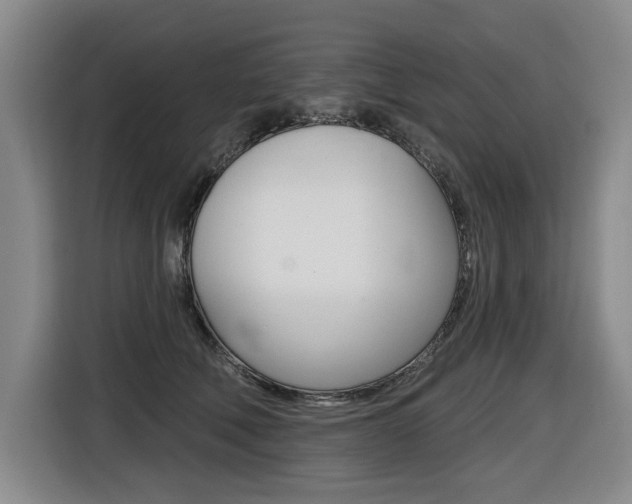 X0000116510610200912090948