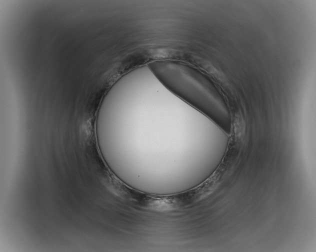 X0000116510611200912090948
