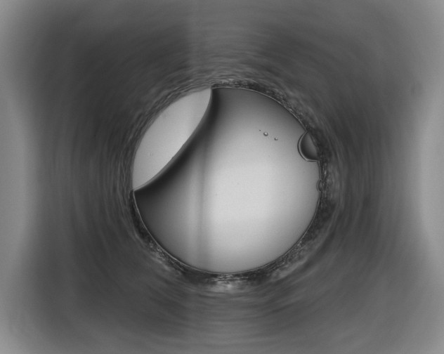 X0000116510612200912090948