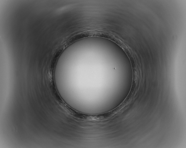 X0000116510613200912090948