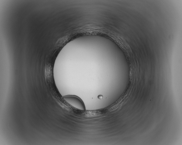 X0000116510623200912090948