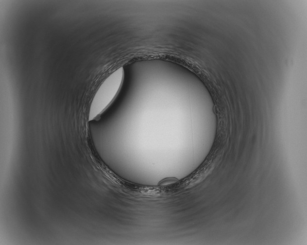 X0000116510624200912090948