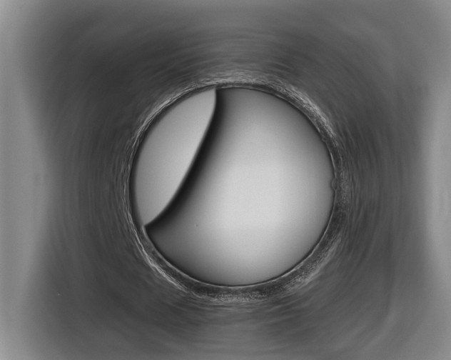 X0000116510625200912090948