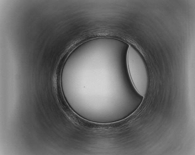 X0000116510626200912090948