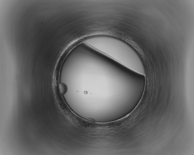 X0000116510628200912090948