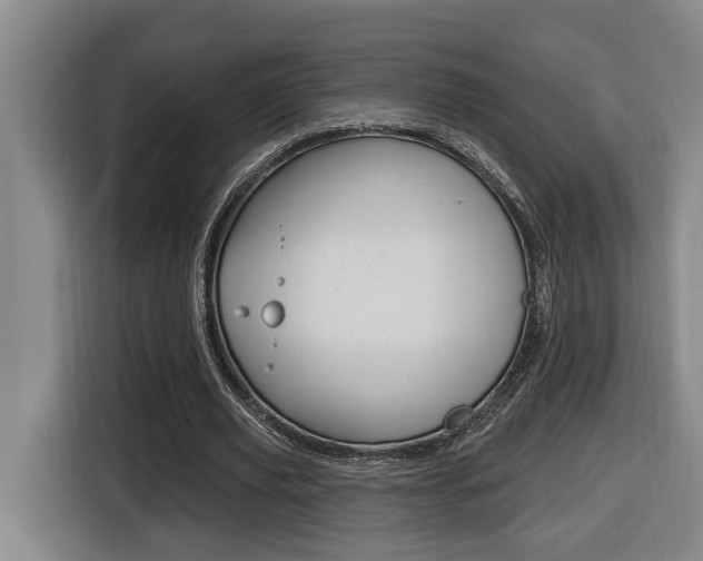 X0000116510629200912090948