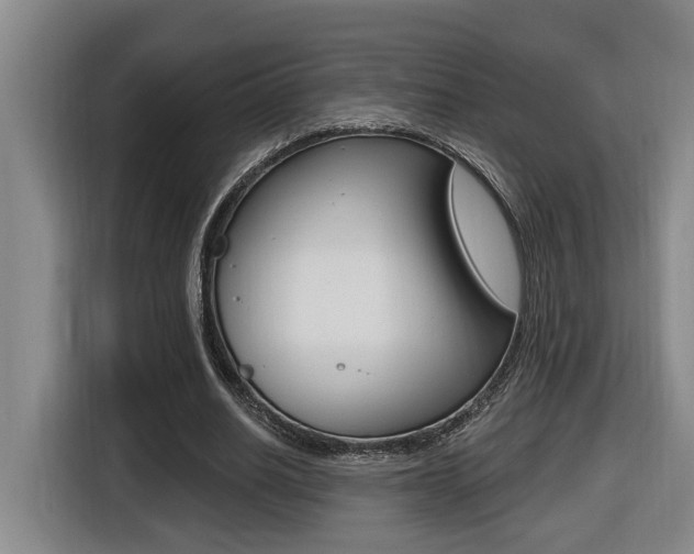 X0000116510630200912090948