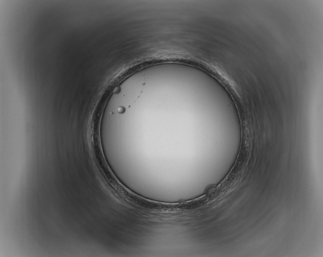 X0000116510631200912090948