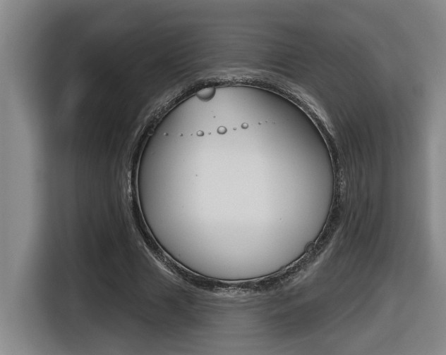 X0000116510633200912090948