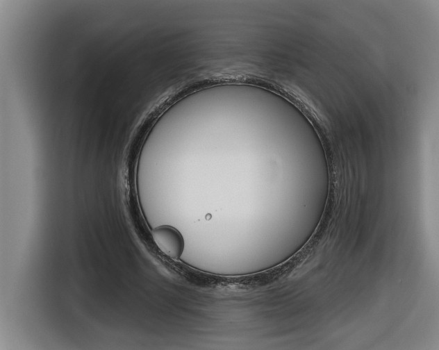 X0000116510634200912090948