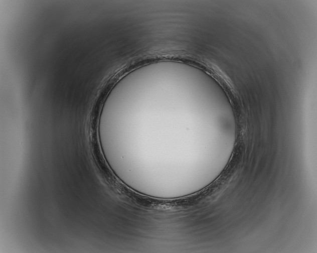 X0000116510635200912090948