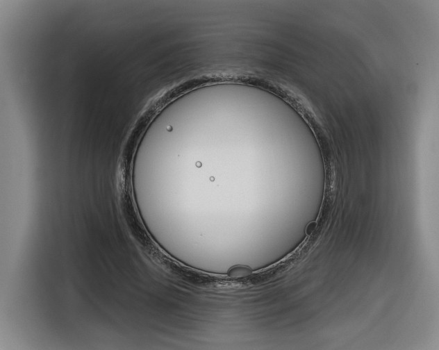 X0000116510636200912090948