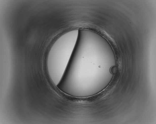 X0000116510637200912090948