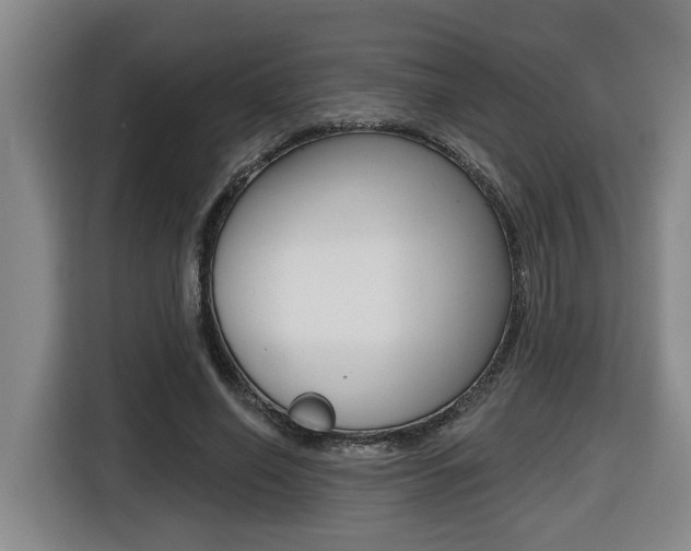 X0000116510638200912090948