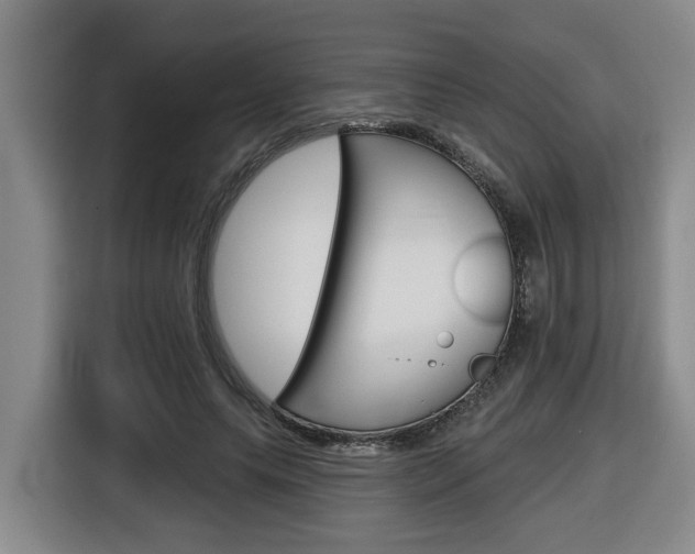 X0000116510639200912090948