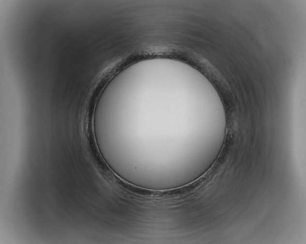 X0000116510640200912090948