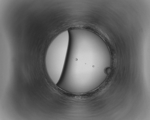 X0000116510641200912090948