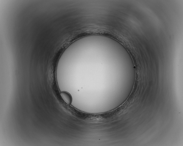 X0000116510642200912090948
