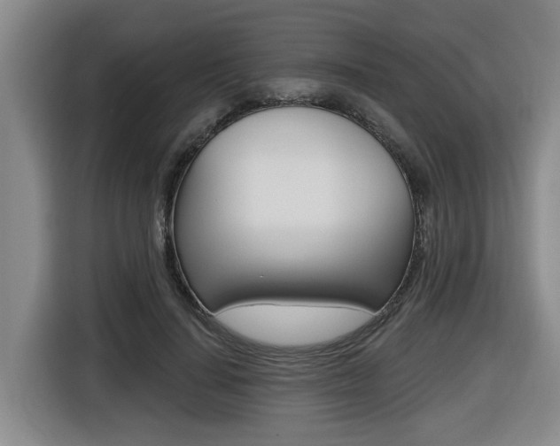 X0000116510644200912090948