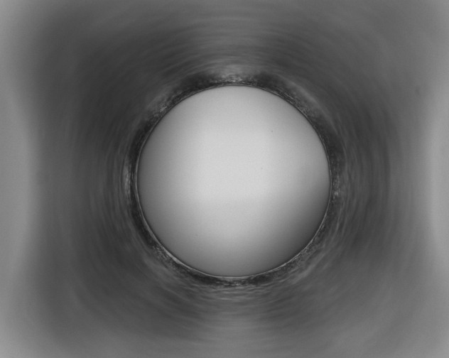 X0000116510646200912090948