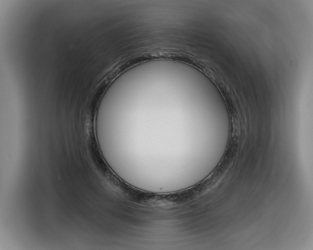 X0000116510648200912090948