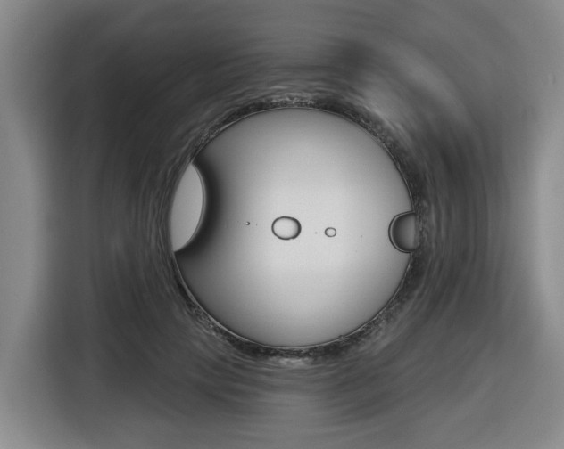 X0000116510649200912090948