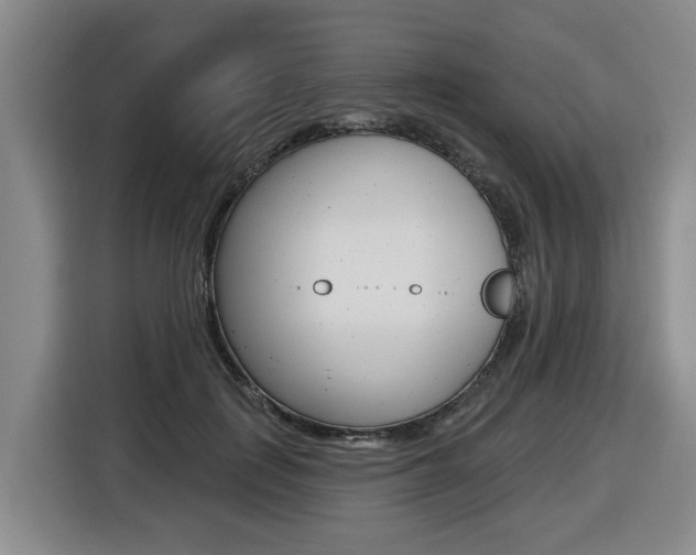 X0000116510651200912090948