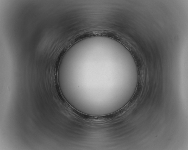 X0000116510653200912090948