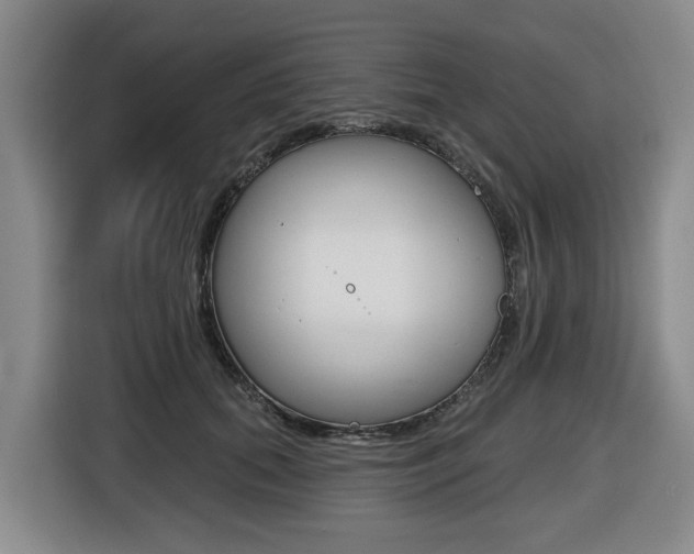 X0000116510655200912090948