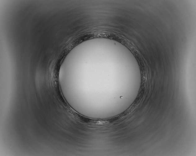 X0000116510663200912090948