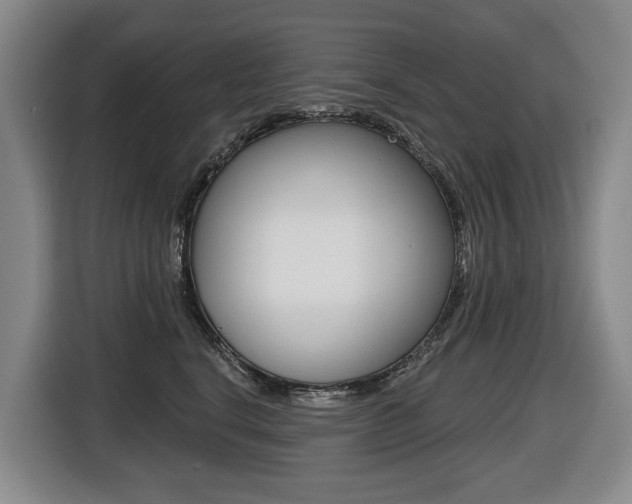 X0000116510664200912090948
