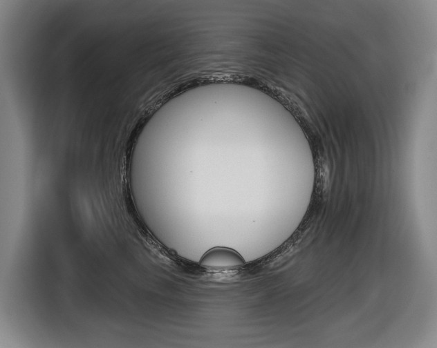 X0000116510665200912090948