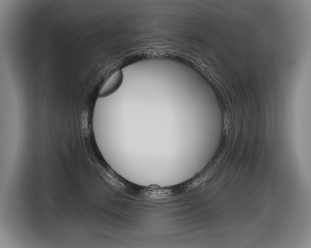 X0000116510670200912090948