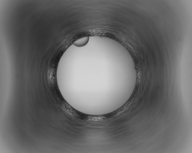 X0000116510671200912090948