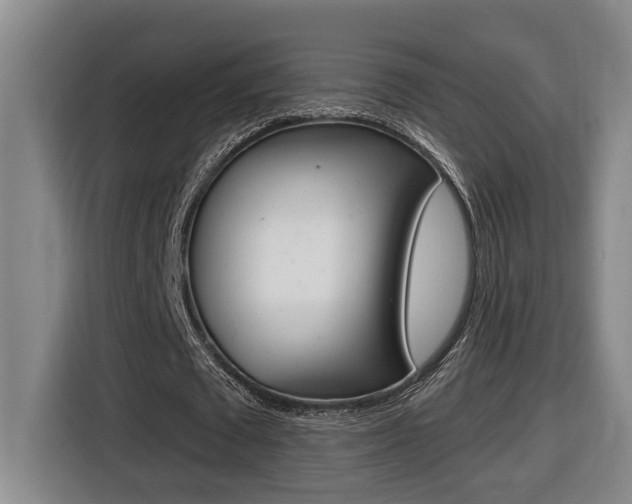 X0000116510673200912090948