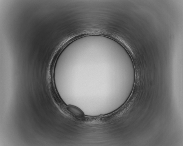 X0000116510674200912090948