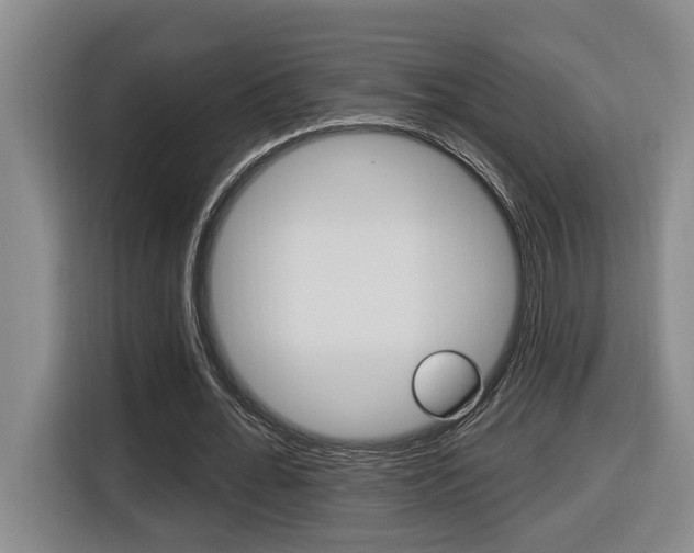 X0000116510676200912090948
